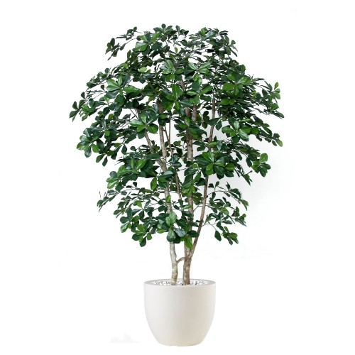 Planta semi-artificiala Ila, Buxifolia Natural Style Green - 180 cm
